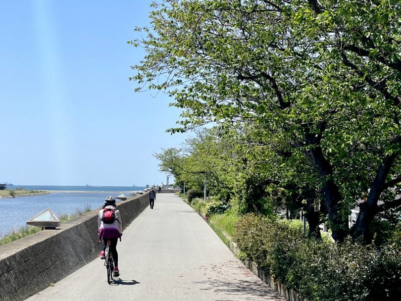 🌳 효고 현립 하리마 중앙공원(효고켄리츠 하리마추오코엔) 이미지 5